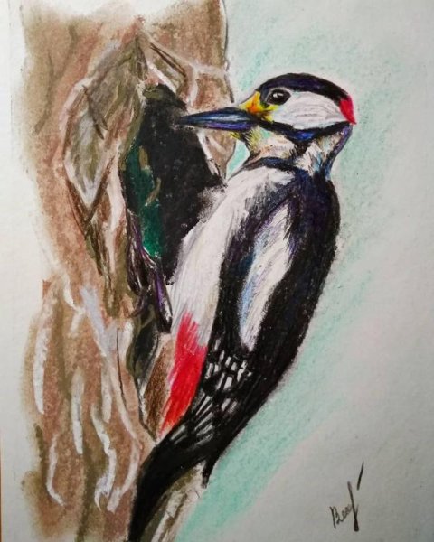 Дятел для детей