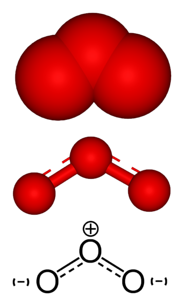 2 Молекулы кислорода