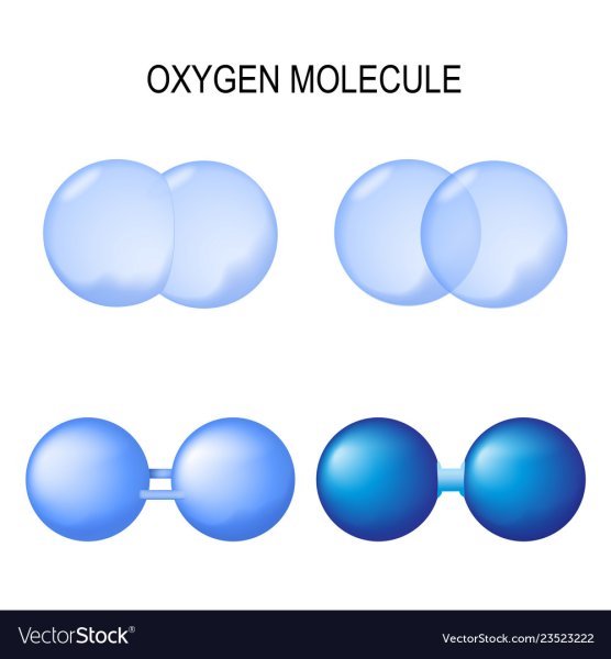 Молекула o2