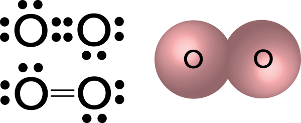2 Молекулы кислорода