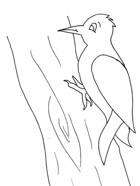 Аппликация дятел