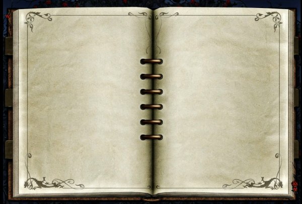 Книга с пустыми страницами