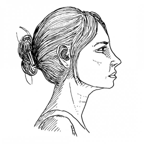 Портрет в профиль карандашом