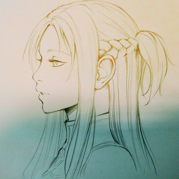 Пропорции лица человека в профиль