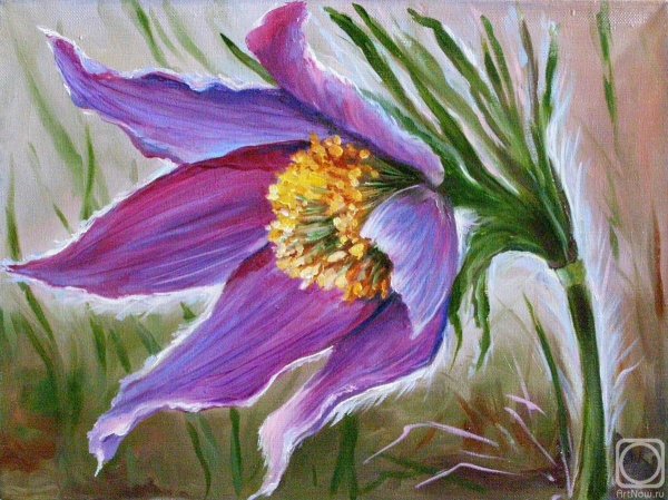 Живопись прострел Луговой