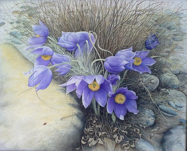 Дарья Головань картины