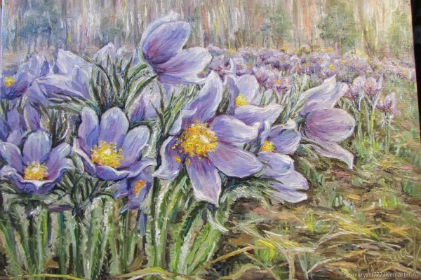 Поляна сон трава