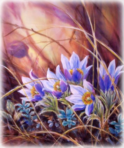 Подснежник сон трава прострел живопись