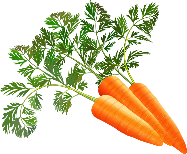 Морковь для детей