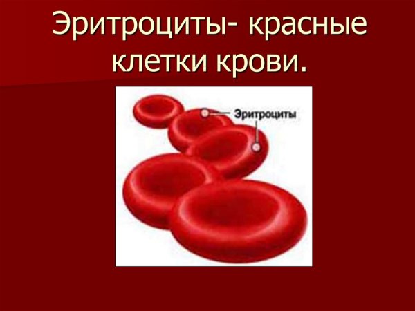 Кровяные клетки эритроциты