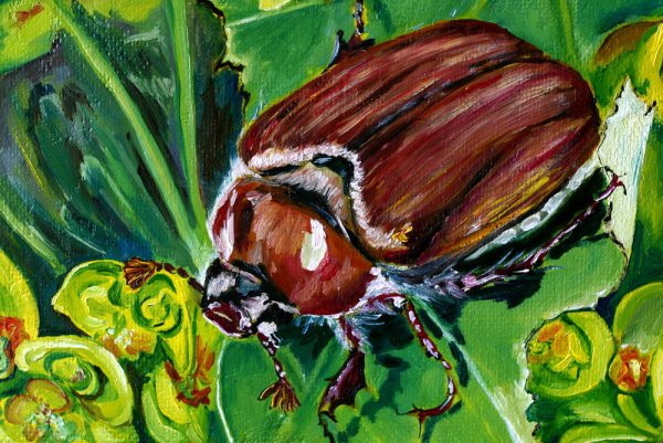 Кабаков Жук картина