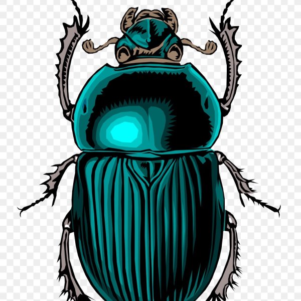 Скарабей Векторная Графика