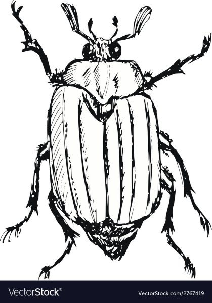 Нарисовать Майский хрущ