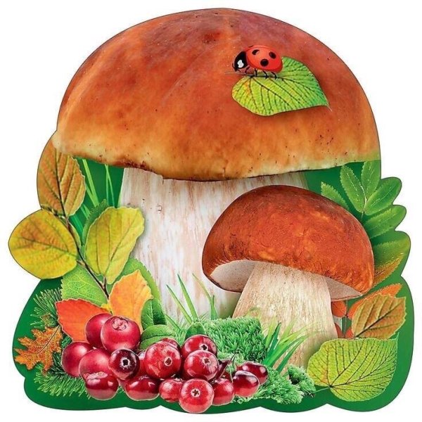 Гриб Боровик раскраска