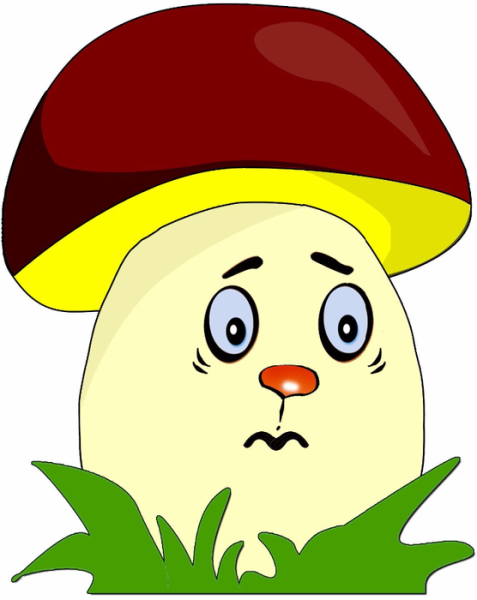 Белый гриб Боровик на белом фоне