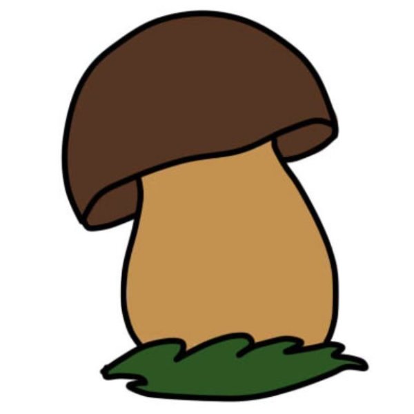 Ободок гриб Боровик