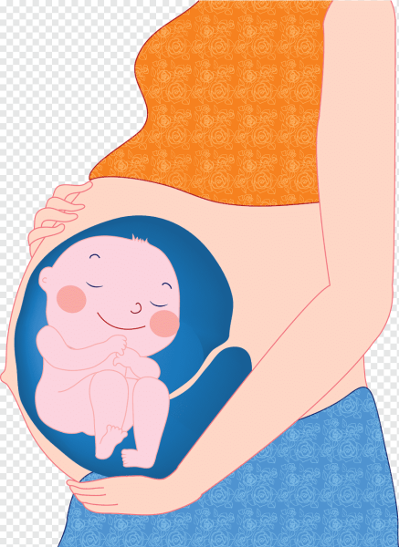 Беременность ребенок в животе