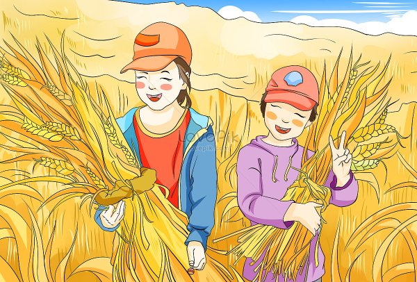 Уборка урожая детские рисунки