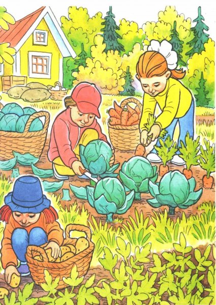 Уборка урожая в саду