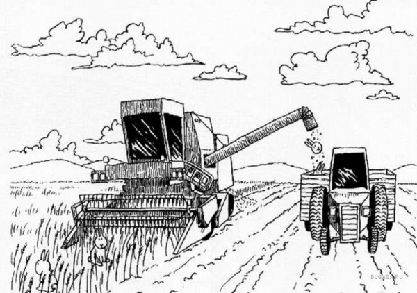 Сельское хозяйство карандашом