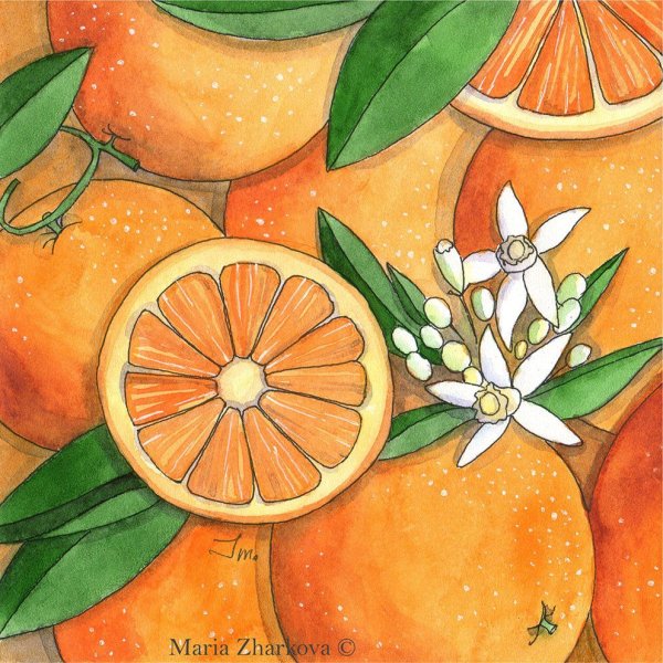 Нарисовать апельсин