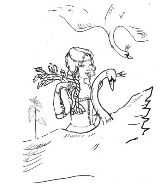 Дикие лебеди рисунок