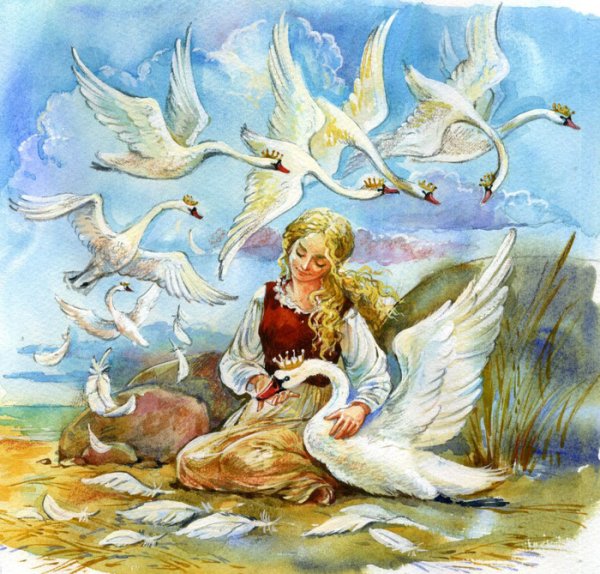 Рисунок к сказке Дикие лебеди Андерсена