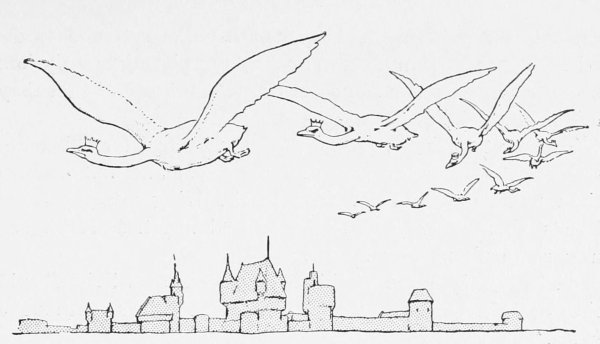 Иллюстрация Дикие лебеди 4 класс