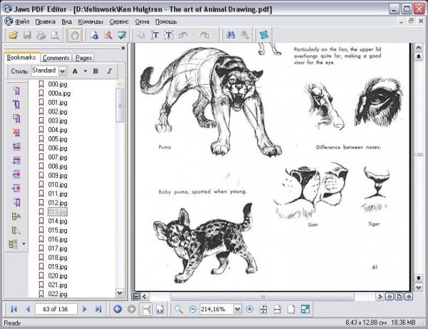 Pdf изображение