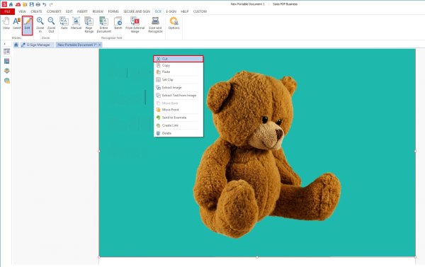 Pdf Формат изображения