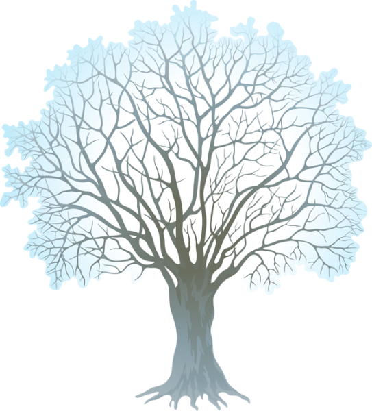 Сказочное зимнее дерево