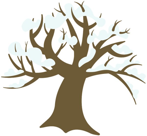 Зимние деревья для фотошопа