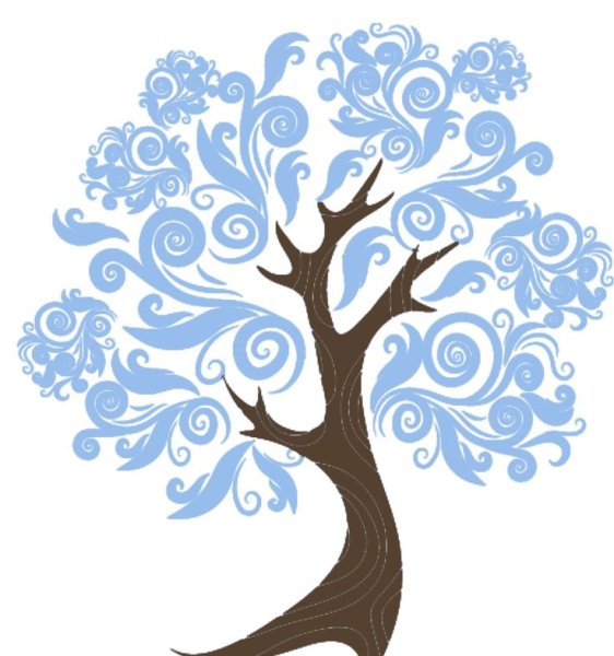 Силуэты деревьев зимой