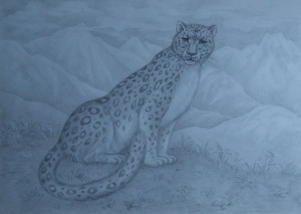 Снежный Барс (Ирина Кукрусова)