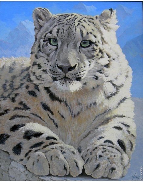 Снежный Барс красками