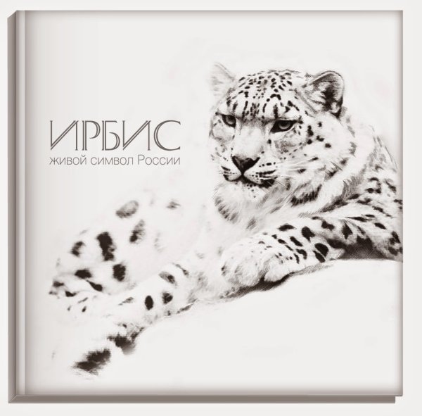 Снежный Барс на белом фоне