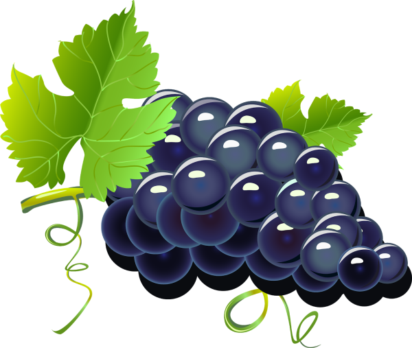 Виноград для дошкольников