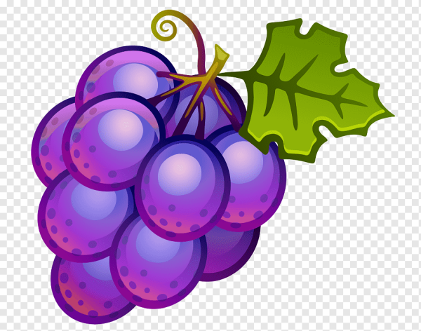 Фиолетовый виноград