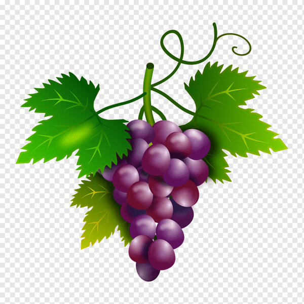 Кисть винограда