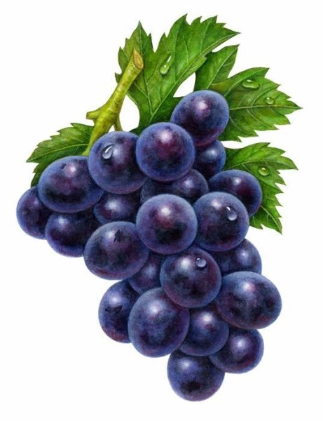 Фрукты виноград