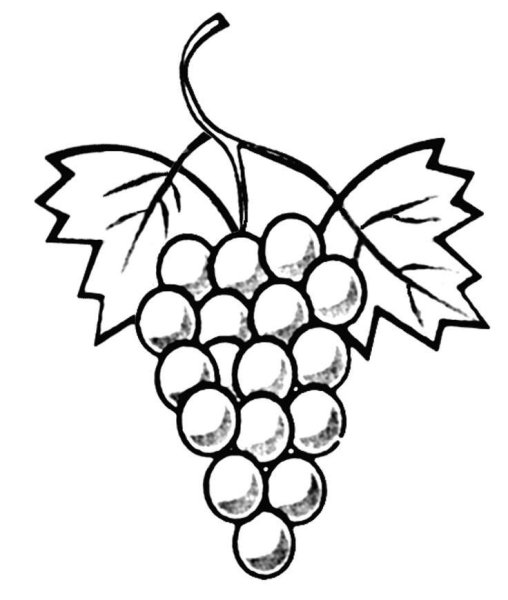 Виноград раскраска
