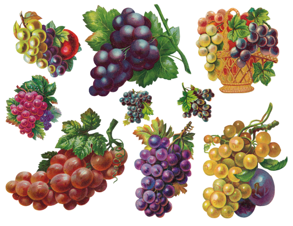 Ягоды для декупажа