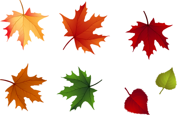 Красивые осенние листочки