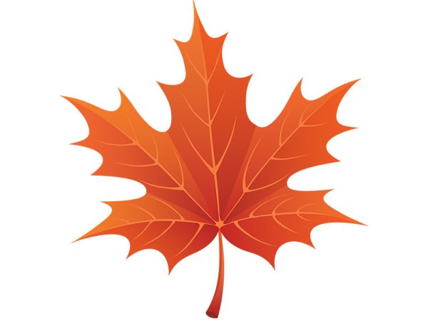 Осенние листья картинки