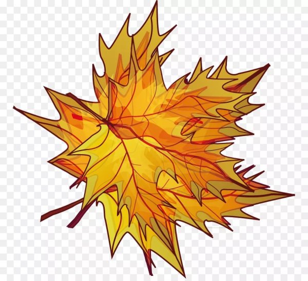 Рисунки осенних листьев