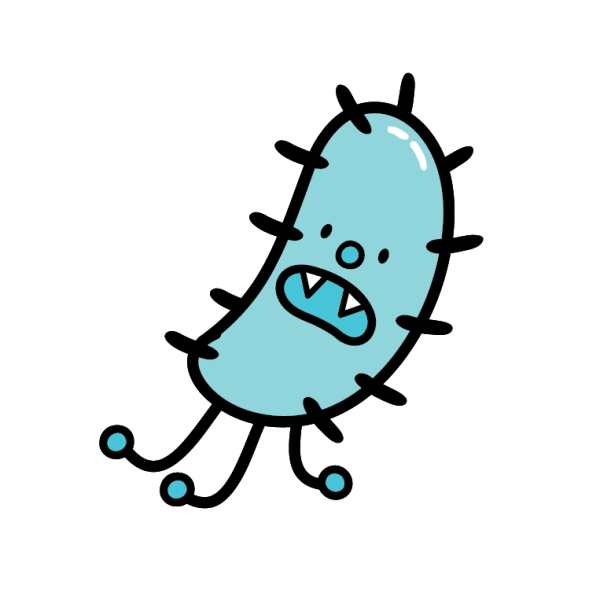 Бациллы бактерии рисунок