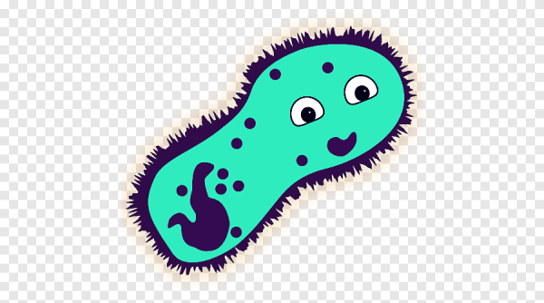 Бактерии без фона