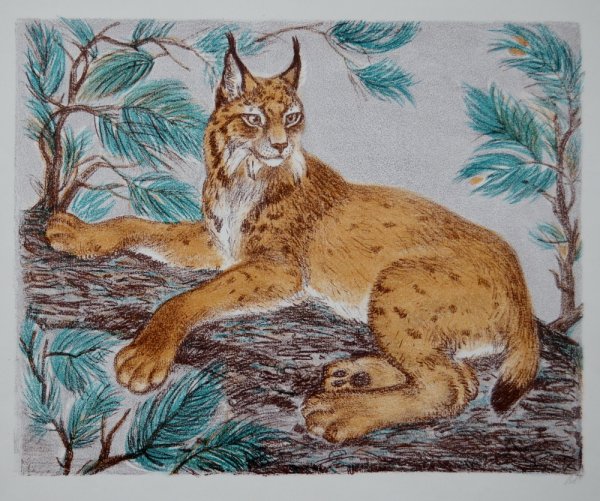 Мурзук Бианки