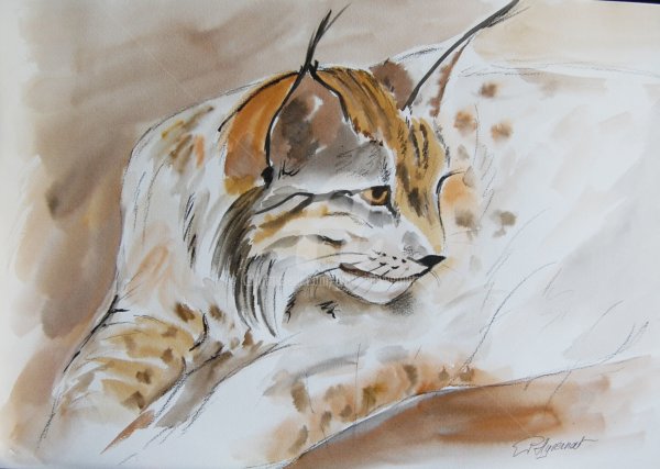 Рисунки с рысью