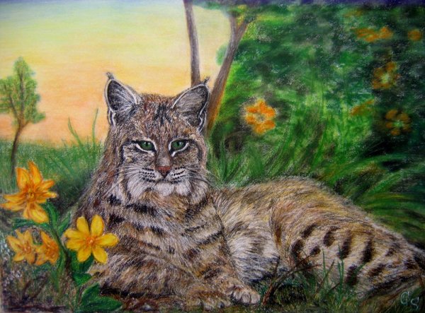 Рысь живопись